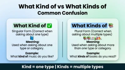 What Kind of vs What Kinds of